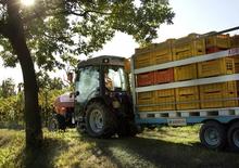 Tractoren met vierwielaandrijving SAME Frutteto³ S 90.3 DT