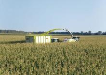Veldhakselaars met vierwielaandrijving Claas Jaguar 970