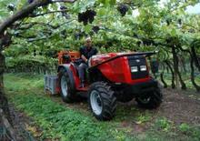 Tractoren met vierwielaandrijving Massey Ferguson MF 3435-4 GE