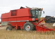 Combine maaidorsers Massey Ferguson 40 RS