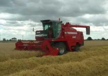 Combine maaidorsers Massey Ferguson 665