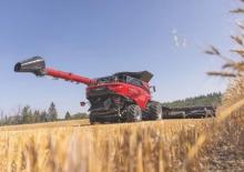 Combine maaidorsers Case IH AF11