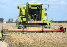 Combine maaidorsers Claas Dominator 105
