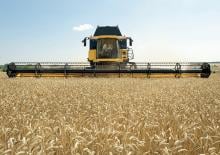Combine maaidorsers maaibalk New Holland 6,10M/20FT HC