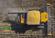 Combine maaidorsers maïskop Valtra PM517