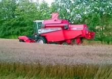 Combine maaidorsers Massey Ferguson MF 2045