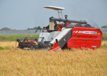 Combine maaidorsers Massey Ferguson MF 2168
