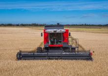 Combine maaidorsers Massey Ferguson MF 4690