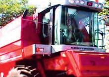 Combine maaidorsers Massey Ferguson MF 7252 AL