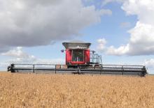 Combine maaidorsers Massey Ferguson MF 9695