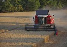 Combine maaidorsers Massey Ferguson Activa 7345 S