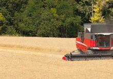 Combine maaidorsers Massey Ferguson Delta 9280