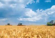 Combine maaidorsers Claas Lexion 600