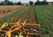Cultivatoren Agrisem Biomulch 9.00