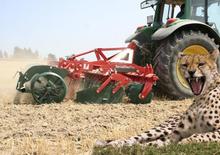 Zinken-schijveneg Vogel & Noot TerraDisc pro 300