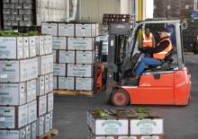 Elektrische vorkheftrucks Linde E20C