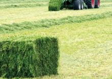 Vierkante-balenpersen Krone Big Pack 1270 XC