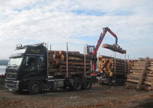 Houtlaadkranen Epsilon M 110 L 80