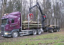 Houtlaadkranen Epsilon Q 150 Z 96
