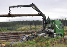 Houtlaadkranen Epsilon S 290 Z 96 HPLS
