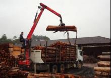 Houtlaadkranen Epsilon C 80 Z 89