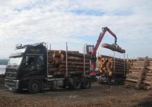 Houtlaadkranen Epsilon M 110 Z 95 TR