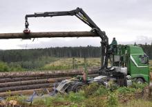 Houtlaadkranen Epsilon S 290 L 87 HPLS