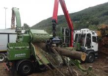 Houtversnipperaars Pezzolato PTH 1400/820