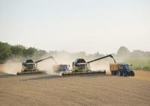 Combine maaidorsers New Holland CX 8090 Elevation