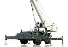 Ruwterrein-kranen TEREX CRANES RT 100