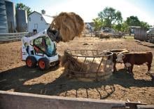 Schrankladers Bobcat S590