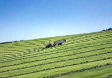 Silagewagens Pöttinger Primo 801 L
