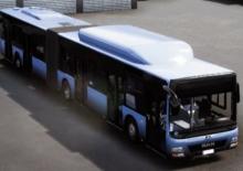 Stadsbussen MAN Lion’s City GL