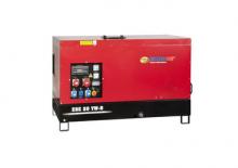 Diesel Generatoren Endress ESE 10 YW-B