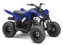 Terreinwagens & Quads Yamaha RAPTOR 90 