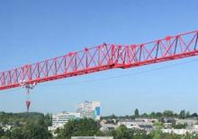 Torenkranen - Trolley-arm - Boven draaiend Wilbert WT 420 e.tronic
