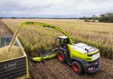 Veldhakselaars met vierwielaandrijving Claas Jaguar 1200
