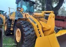 Wielladers Liugong 877 