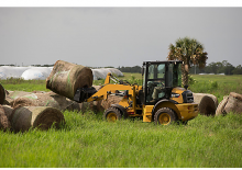 Wielladers Caterpillar 903D