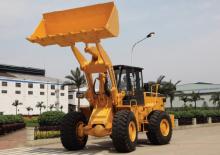 Wielladers Liugong 855N