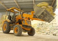 Wielladers Bull HD76