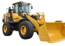 Wielladers SDLG L956F-ABK